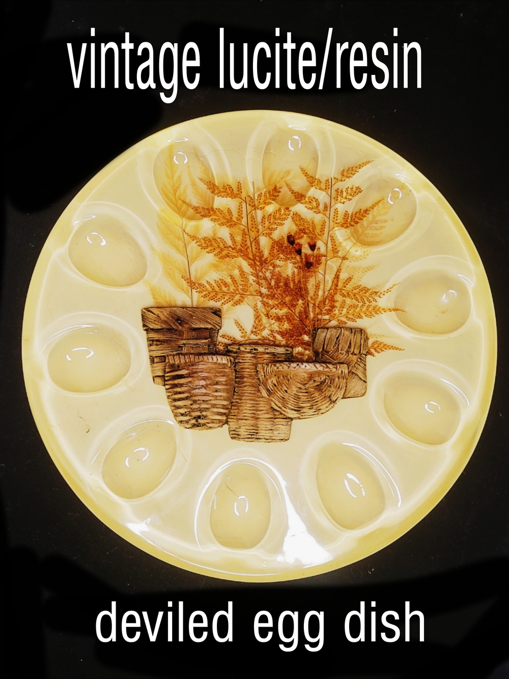 Vintage 1970s Clear Lucite/Resin Deviled Egg Dish - 10egg Slot